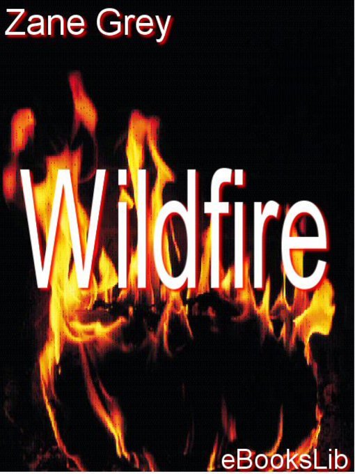 Cover image for Wildfire